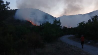 Požar kod Trebinja prijeti selima Bobovišta i Zaplanik