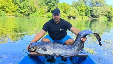 Ribolovac iz Novog Grada izvukao soma od 42 kilograma