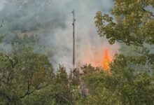 Elektrohercegovina odbranila dalekovod Zupci od požara