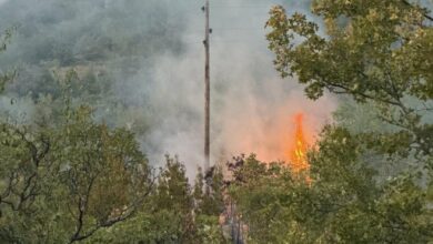Elektrohercegovina odbranila dalekovod Zupci od požara