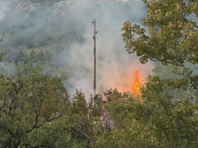 Elektrohercegovina odbranila dalekovod Zupci od požara