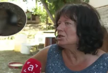 Nestašica vode u Mišinom Hanu: Anđa Boroja ostala bez živine i povrća