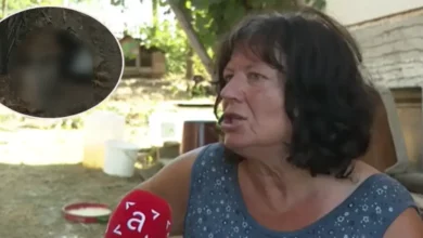 Nestašica vode u Mišinom Hanu: Anđa Boroja ostala bez živine i povrća