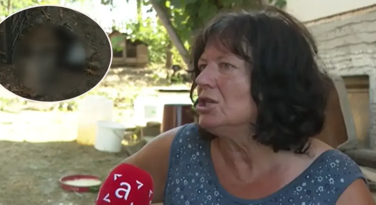 Nestašica vode u Mišinom Hanu: Anđa Boroja ostala bez živine i povrća