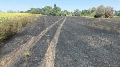 Požar kod Srpca stavljen pod kontrolu zahvaljujuci brzoj intervenciji