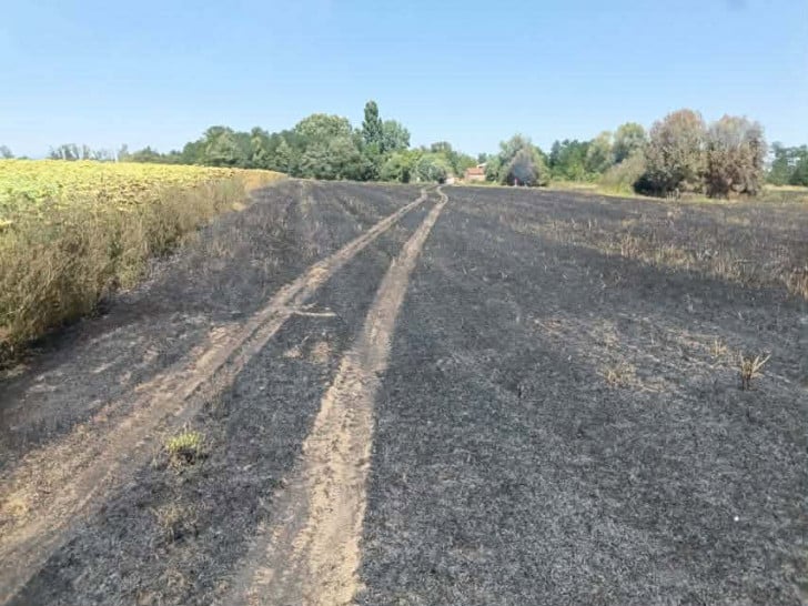 Požar kod Srpca stavljen pod kontrolu zahvaljujuci brzoj intervenciji