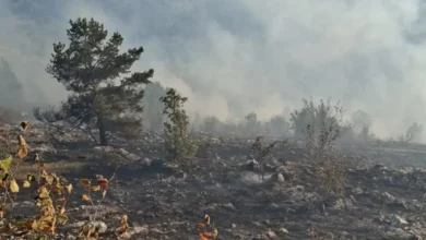Na Trebeviću ponovo buknula dva požara