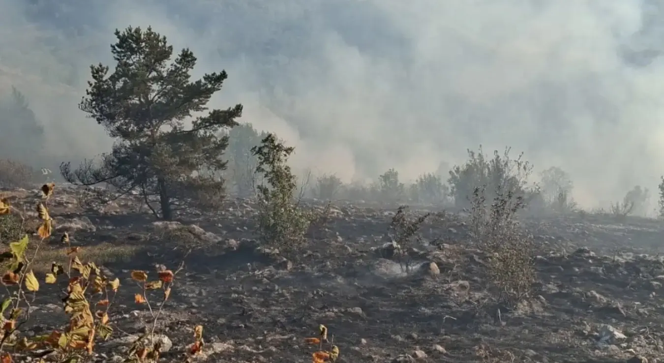 Na Trebeviću ponovo buknula dva požara