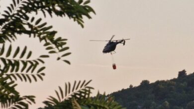 Deliblatska peščara i dalje u plamenu, Šumarak odbranjen