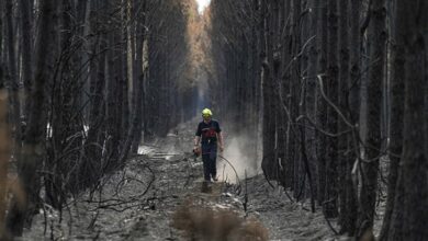 Veliki požar u Žirondi pod kontrolom, u Varu stabilizovan