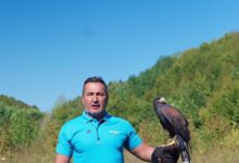 Davor Dragičević pušta sokola