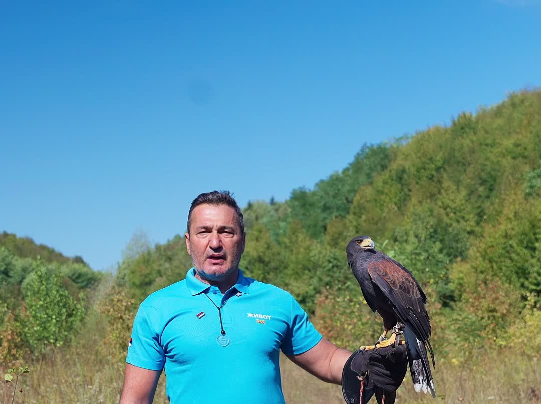 Davor Dragičević pušta sokola