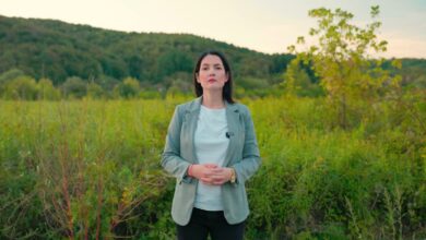 Jelena Trivić: Hitno potrebna tužba protiv Hrvatske zbog Trgovske gore