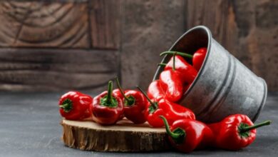 Najbolja paprika za ajvar: Kako postići gustu teksturu i savršen ukus