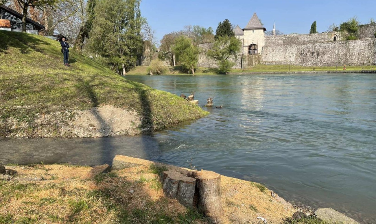 Sporna sječa stabala u Mejdanu i dalje bez epiloga i zapisnika