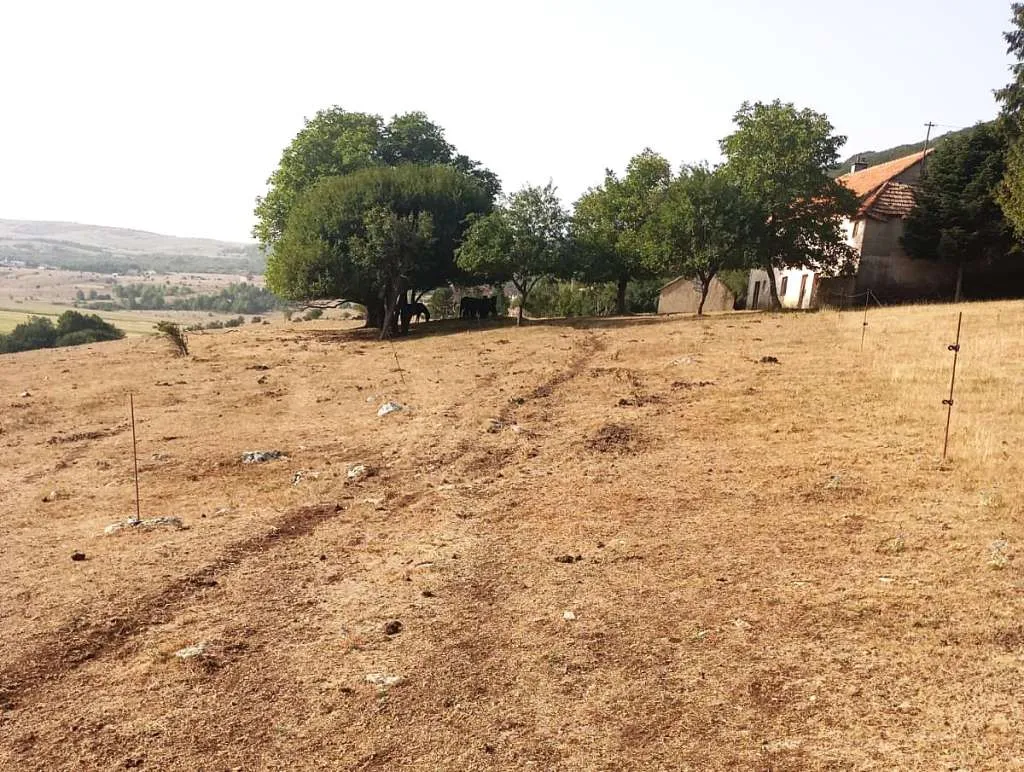 Proglašenje stanja prirodne nepogode traže poljoprivrednici u FBiH zbog suše
