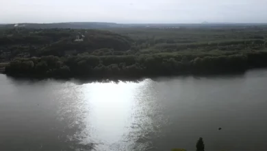 Praistorijsko gvožđe izvađeno iz Dunava: Radnici u Austriji pronašli blago staro 2.200 godina