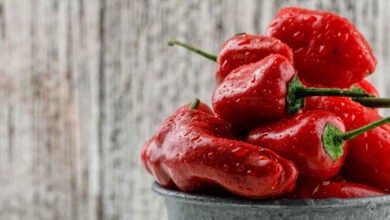 Koliko paprika je potrebno za kilogram gotovog ajvara