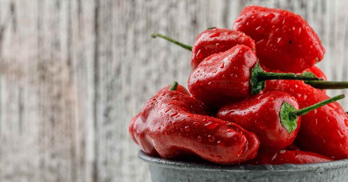 Koliko paprika je potrebno za kilogram gotovog ajvara