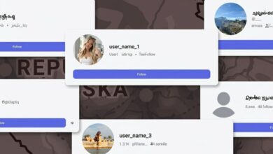 Mreža lažnih naloga povećava vidljivost objavama Draška Stanivukovića