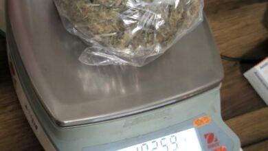 Uspješna policijska akcija u Banjaluci: Zaplijenjeni kokain, marihuana i novac