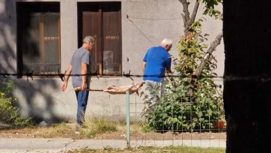 Zemaljski muzej BiH na meti uzurpatora: Prase na ražnju usred Botaničke bašte