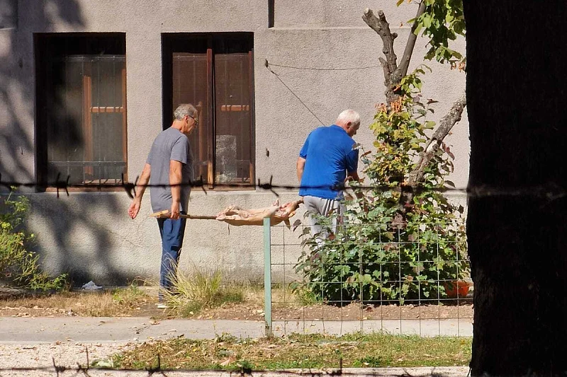 Zemaljski muzej BiH na meti uzurpatora: Prase na ražnju usred Botaničke bašte