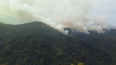 Gromovi zapalili šume na tri lokaliteta kod Teslića