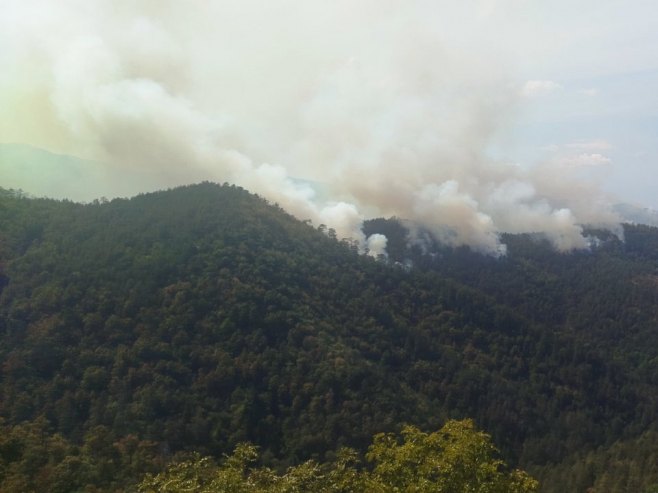 Gromovi zapalili šume na tri lokaliteta kod Teslića
