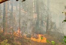 Vatrogasci u pripravnosti: Požarište na Čvrsnici još krije aktivna žarišta