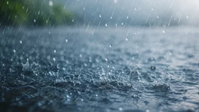 Stiže naglo zahlađenje: Temperatura pada 11 stepeni, uz kišu