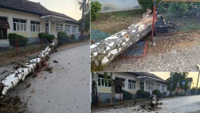 Pad stabla ispred škole u banjalučkom naselju Debeljaci