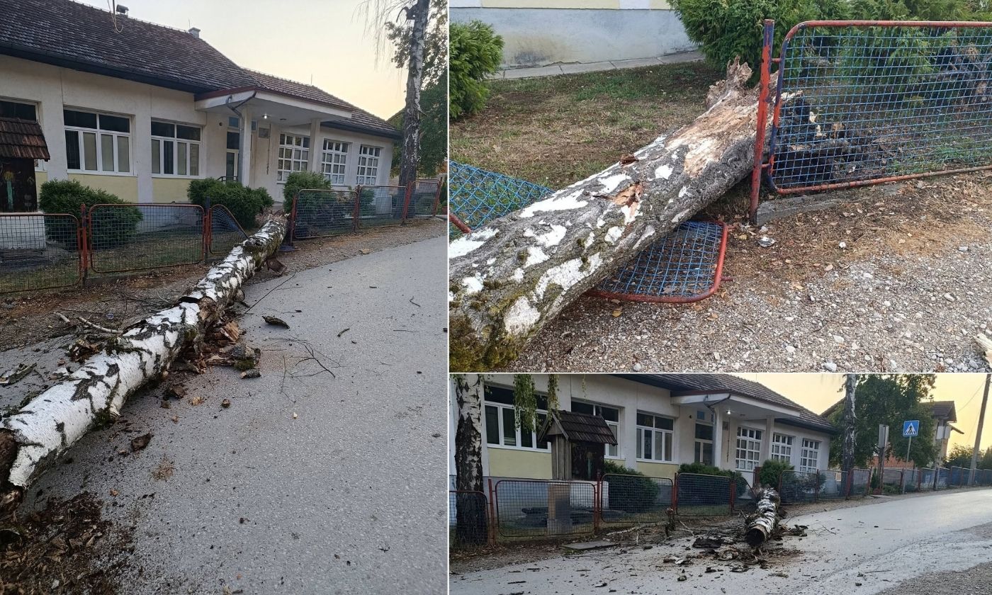 Pad stabla ispred škole u banjalučkom naselju Debeljaci