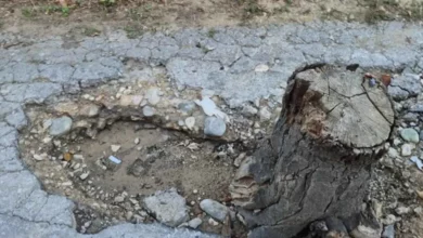 Vozači oprez u Karađorđevoj ulici: Duboka rupa na putu označena panjem