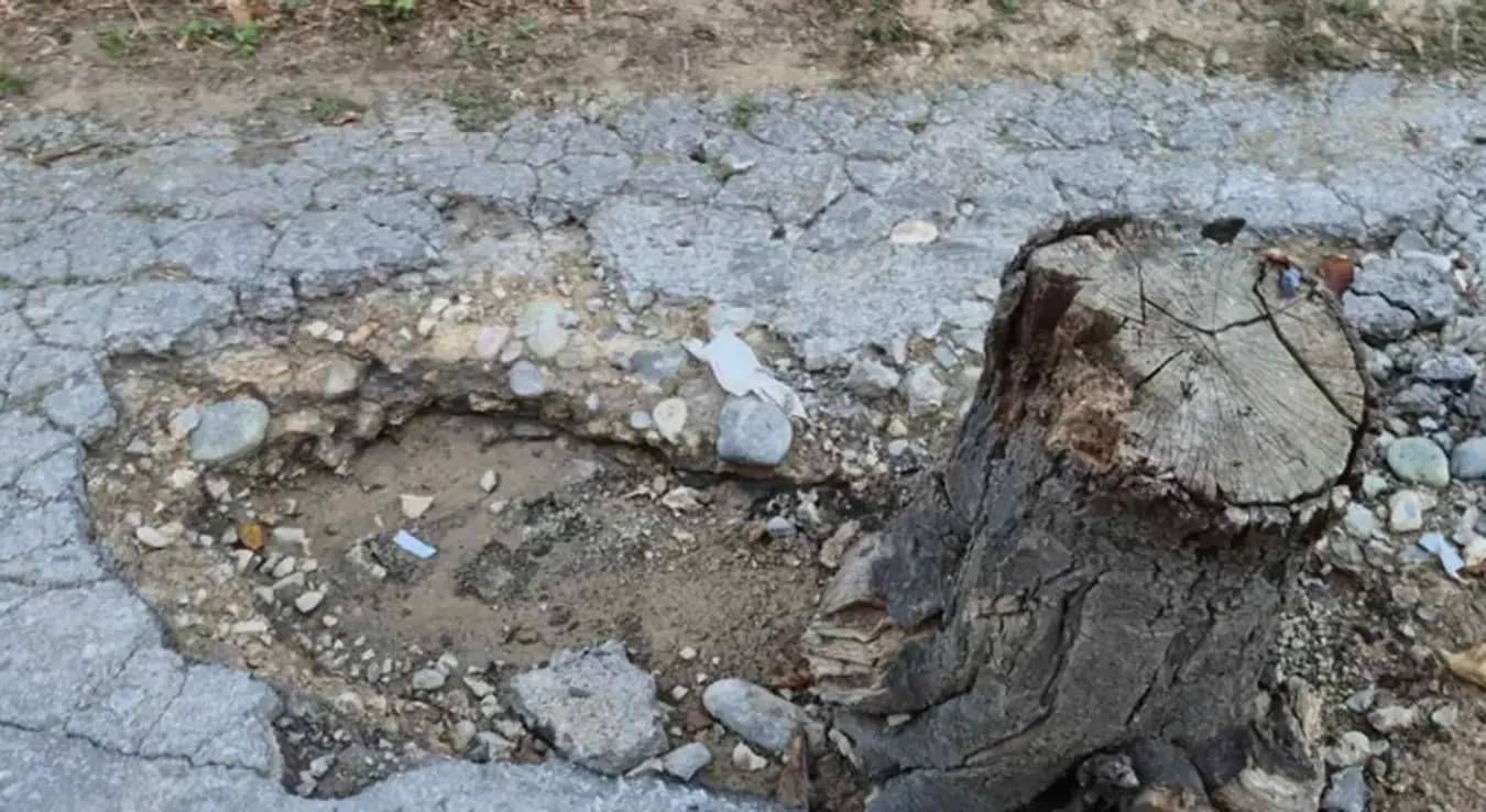 Vozači oprez u Karađorđevoj ulici: Duboka rupa na putu označena panjem