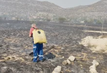 Požar u selu Tuli kod Trebinja ponovo zaprijetio kućama