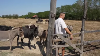 Kako je ranč Nirvana kod Bijeljine postao prava oaza u prirodi