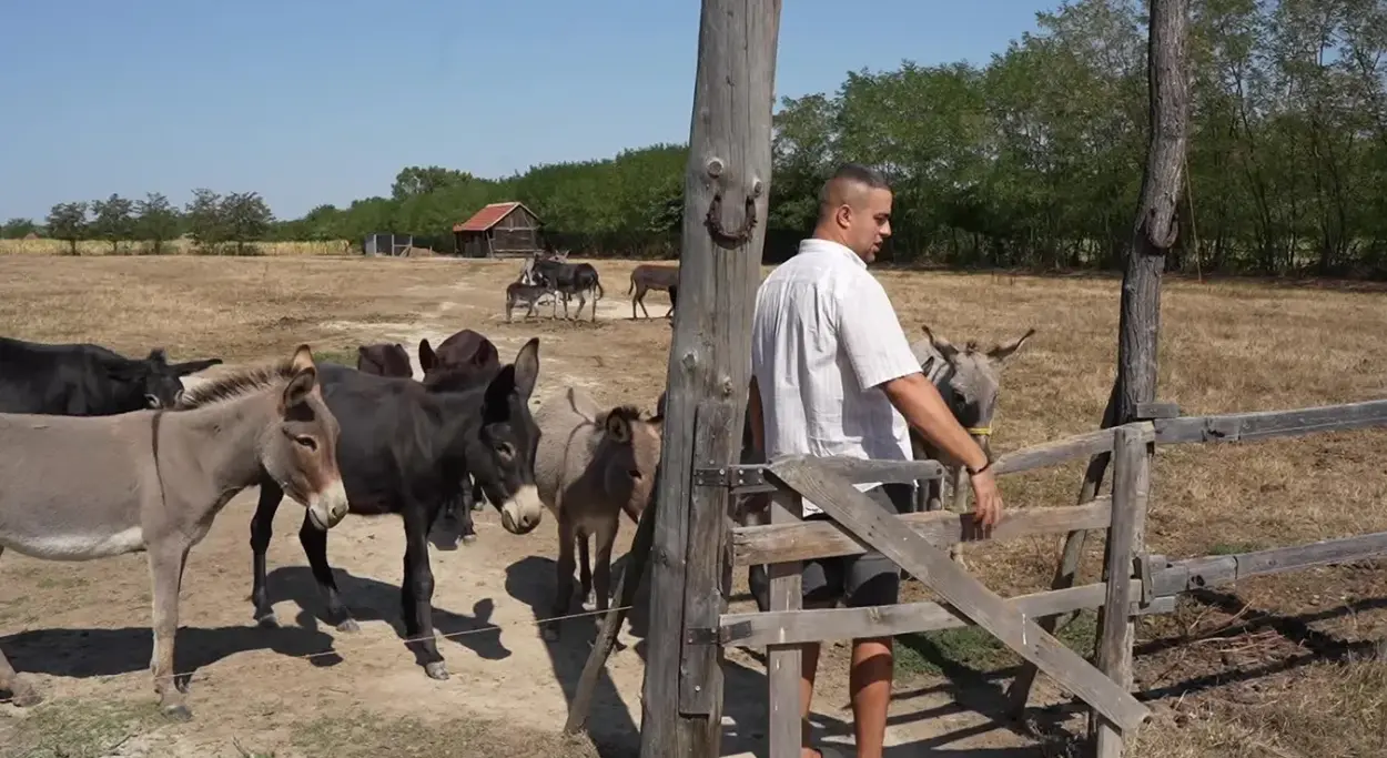 Kako je ranč Nirvana kod Bijeljine postao prava oaza u prirodi