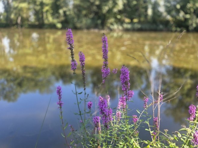 Sunčano i toplo uz prolazne pljuskove na jugoistoku