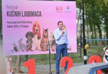 Odnos prema životinjama uči se od najranijeg uzrasta