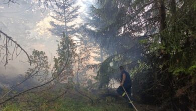 Mirna noć na požarištima kod Trebinja, vatra u Grabovici još aktivna