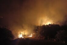 Zaustavljeno širenje vatre kod manastira Vozućica: Vatrogasci i mještani spriječili katastrofu