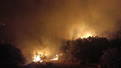 Zaustavljeno širenje vatre kod manastira Vozućica: Vatrogasci i mještani spriječili katastrofu