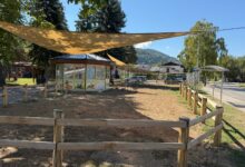 Pony Point u Obilićevu donosi zabavu uz ponije i vožnju kočijom