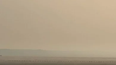 Dim i miris paljevine prekrili dio Makarske rivijere