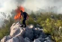 Zubački plato: Trinaesti dan borbe vatrogasaca sa stihijom