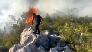 Zubački plato: Trinaesti dan borbe vatrogasaca sa stihijom