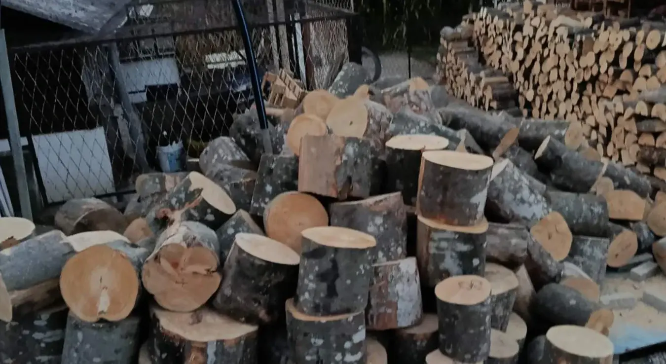 Bagrem kao odlično rješenje: Zašto je ovo drvo za ogrijev nepravedno zapostavljeno