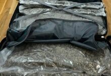 Pao član Vračarskog klana u Beogradu: Zaplijenjeno više od 30 kilograma droge