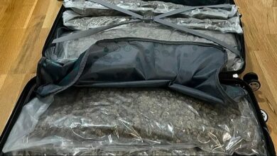 Pao član Vračarskog klana u Beogradu: Zaplijenjeno više od 30 kilograma droge